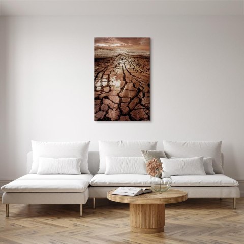 Obraz - Susza (1-częściowy) pionowy 20x30 Premium Print