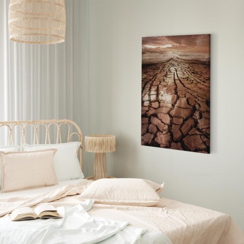 Obraz - Susza (1-częściowy) pionowy 20x30 Premium Print