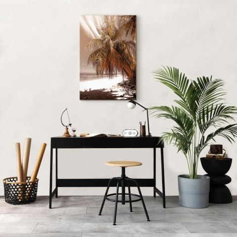 Obraz - Palmowy cień (1-częściowy) pionowy 20x30 Standard