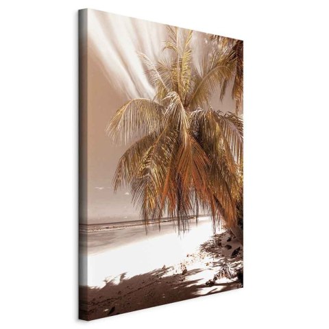 Obraz - Palmowy cień (1-częściowy) pionowy 40x60 Standard