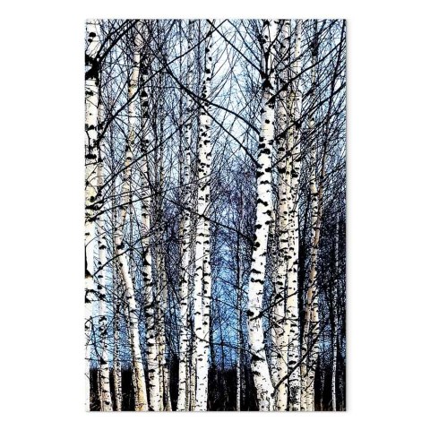 Obraz - Mroźny styczeń (1-częściowy) pionowy 40x60 Na płótnie włoskim
