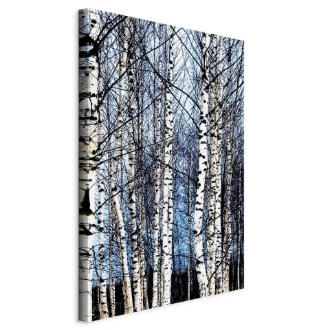 Obraz - Mroźny styczeń (1-częściowy) pionowy 60x90 Standard