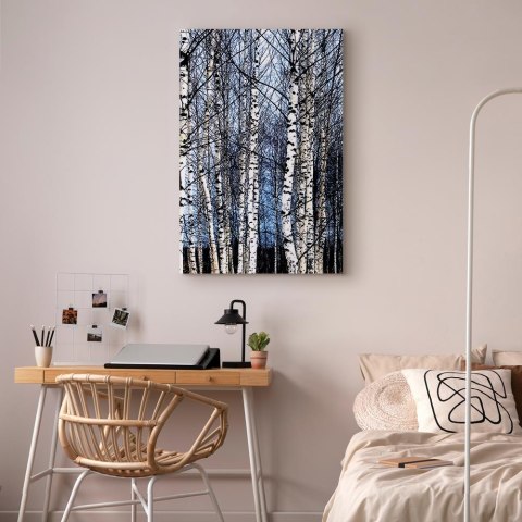 Obraz - Mroźny styczeń (1-częściowy) pionowy 60x90 Standard