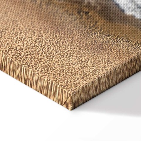 Obraz - Podniebna fala (1-częściowy) pionowy 20x30 Standard