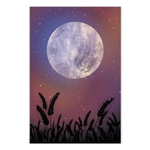 Obraz - Noc na wsi (1-częściowy) pionowy 20x30 Akustyczny