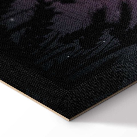Obraz - Noc na wsi (1-częściowy) pionowy 20x30 Akustyczny