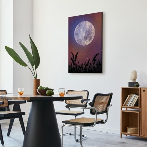 Obraz - Noc na wsi (1-częściowy) pionowy 20x30 Standard