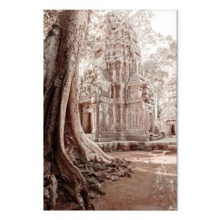 Obraz - Ruiny Angkor (1-częściowy) pionowy 20x30 Standard