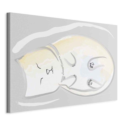 Obraz - Śpiący kotek (1-częściowy) pionowy 60x40 Standard
