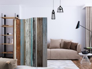 Parawan - Ułożone kolory 135x172 Dwustronny