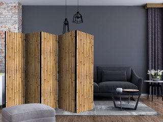 Parawan - Amazońska ściana II 225x172 Akustyczny