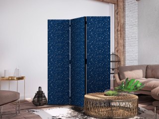 Parawan - Kosmiczne Inspiracje - wzór z gwiazdami i konstelacjami na ciemnym tle 135x172 Jednostronny