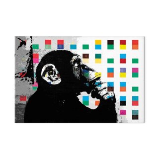 Obraz - Banksy The Thinker Monkey 120x80 Standard