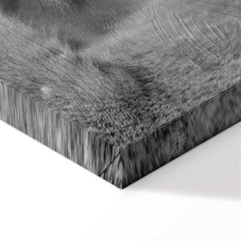 Obraz - Lwia miłość 30x20 Premium Print