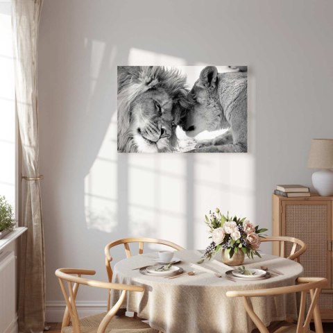 Obraz - Lwia miłość 90x60 Standard