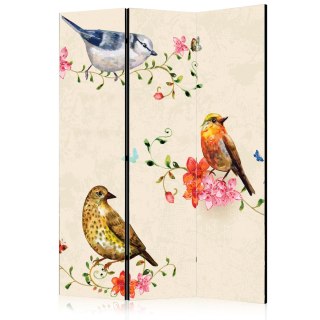 Parawan - Ptasi śpiew 135x172 Akustyczny