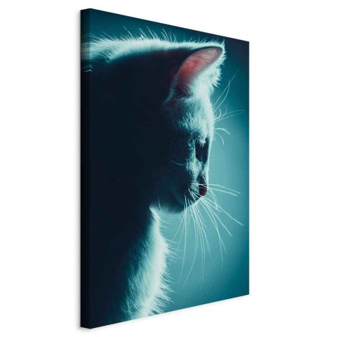 Obraz - Nocny włóczęga (1-częściowy) pionowy 40x60 Standard