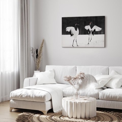 Obraz - Tańczące żurawie (1-częściowy) szeroki 90x60 Standard