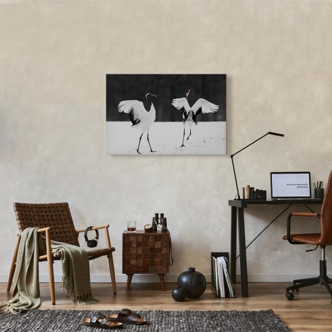 Obraz - Tańczące żurawie (1-częściowy) szeroki 90x60 Standard