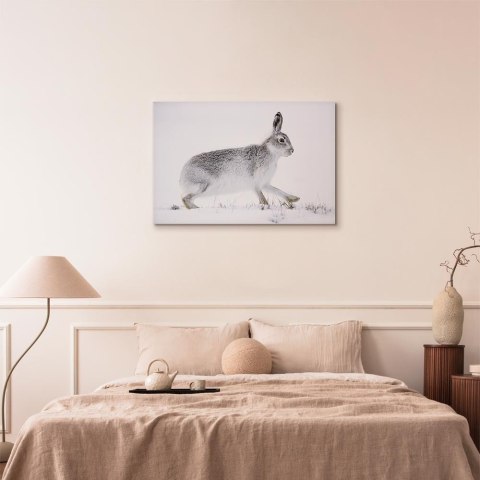 Obraz - Zając (1-częściowy) szeroki 90x60 Standard