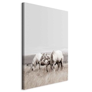 Obraz - Białe konie (1-częściowy) pionowy 20x30 Na płótnie włoskim