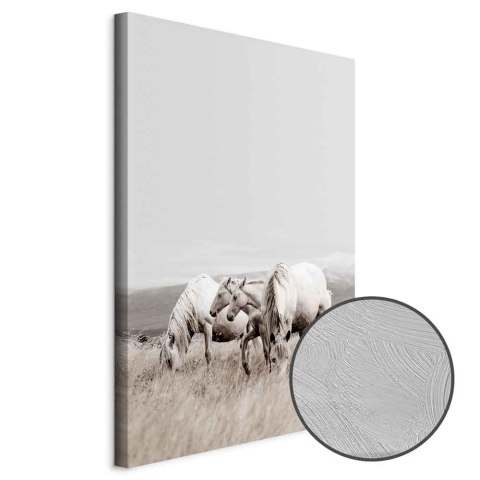 Obraz - Białe konie (1-częściowy) pionowy 20x30 Premium Print