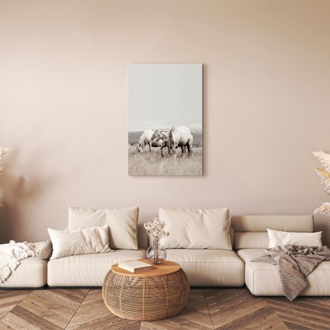 Obraz - Białe konie (1-częściowy) pionowy 20x30 Premium Print