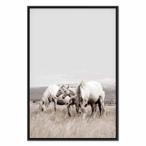 Obraz - Białe konie (1-częściowy) pionowy 40x60 W ramie drewnianej czarnej