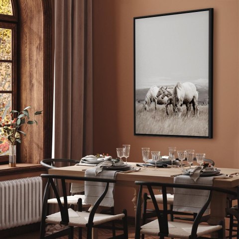 Obraz - Białe konie (1-częściowy) pionowy 40x60 W ramie drewnianej czarnej