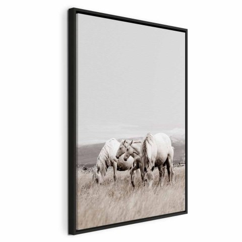 Obraz - Białe konie (1-częściowy) pionowy 60x90 W ramie drewnianej czarnej