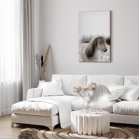 Obraz - Końska grzywa (1-częściowy) pionowy 20x30 Na płótnie włoskim