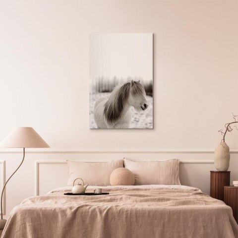 Obraz - Końska grzywa (1-częściowy) pionowy 40x60 Standard
