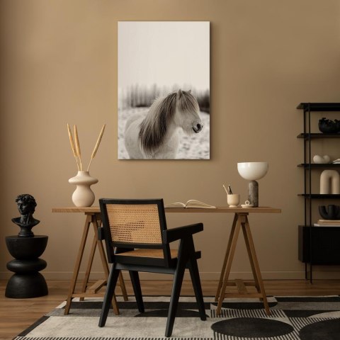 Obraz - Końska grzywa (1-częściowy) pionowy 60x90 Standard