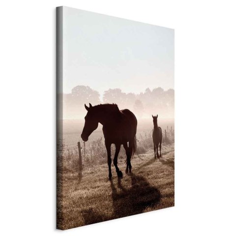 Obraz - Poranek wspomnień (1-częściowy) pionowy 40x60 Standard