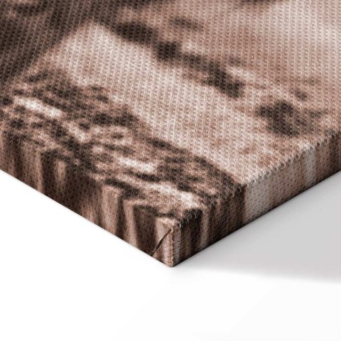 Obraz - Szkocka krowa w sepii 30x20 Standard
