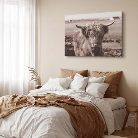 Obraz - Szkocka krowa w sepii 60x40 Na płótnie włoskim
