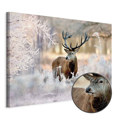 Obraz - Jeleń na mrozie 30x20 Premium Print