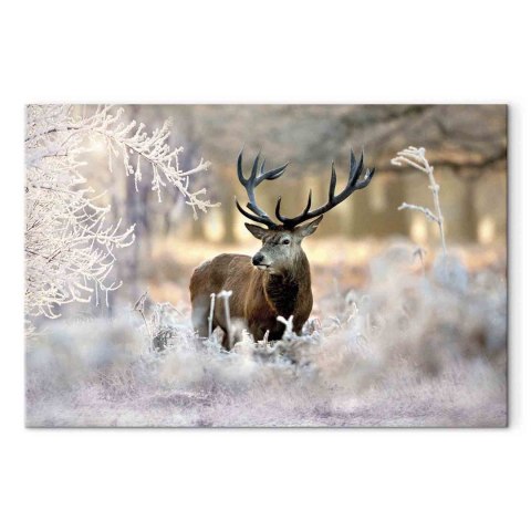 Obraz - Jeleń na mrozie 30x20 Standard