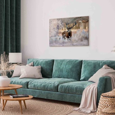 Obraz - Jeleń na mrozie 60x40 Standard