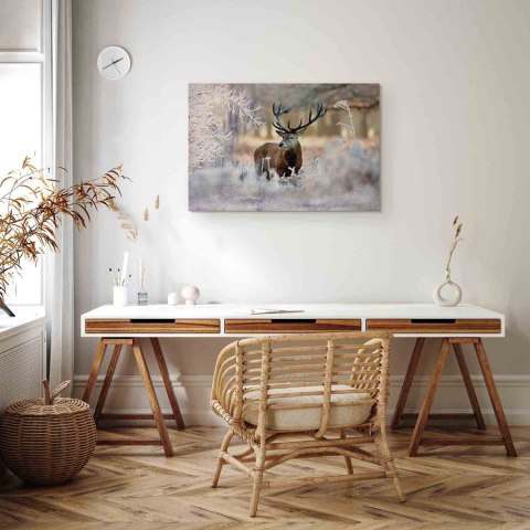 Obraz - Jeleń na mrozie 60x40 Standard