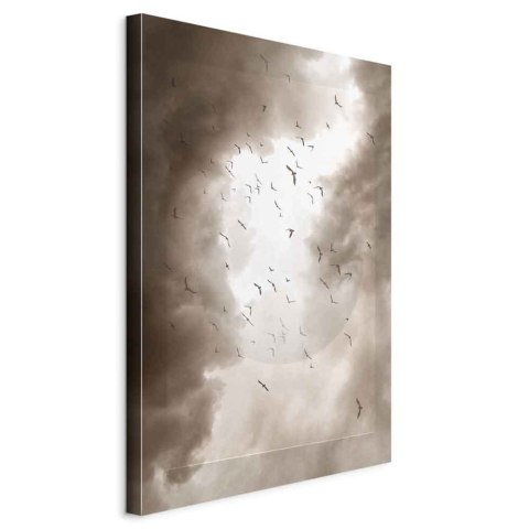 Obraz - Ptaki w chmurach (1-częściowy) pionowy 60x90 Standard
