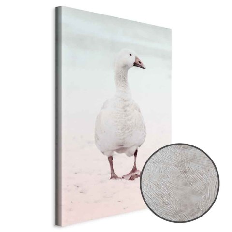 Obraz - Zimowa kaczuszka (1-częściowy) pionowy 20x30 Premium Print