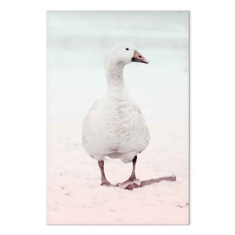 Obraz - Zimowa kaczuszka (1-częściowy) pionowy 20x30 Premium Print