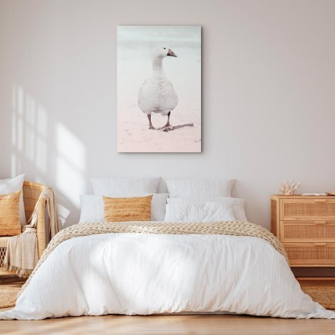 Obraz - Zimowa kaczuszka (1-częściowy) pionowy 20x30 Standard
