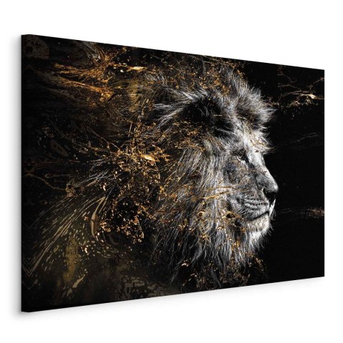 Obraz - Król słońca (1-częściowy) szeroki 90x60 Standard