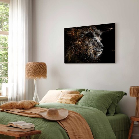 Obraz - Król słońca (1-częściowy) szeroki 90x60 Standard