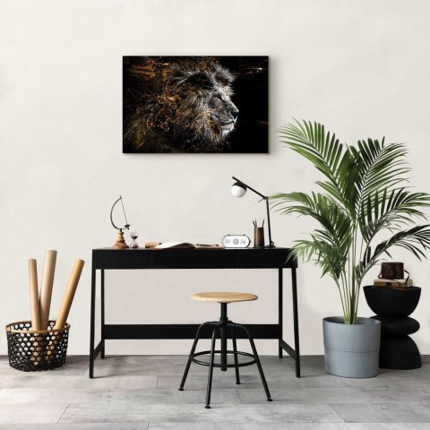 Obraz - Król słońca (1-częściowy) szeroki 90x60 Standard