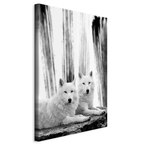 Obraz - Leśna miłość (1-częściowy) pionowy 20x30 Standard