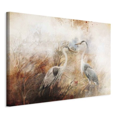 Obraz - Czaple na polowaniu (1-częściowy) szeroki 90x60 Standard