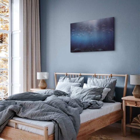 Obraz - Rybki w głębinach 30x20 Premium Print